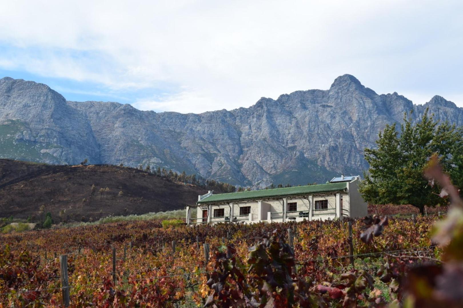 Vredehoek Guest Farm Breërivier 外观 照片